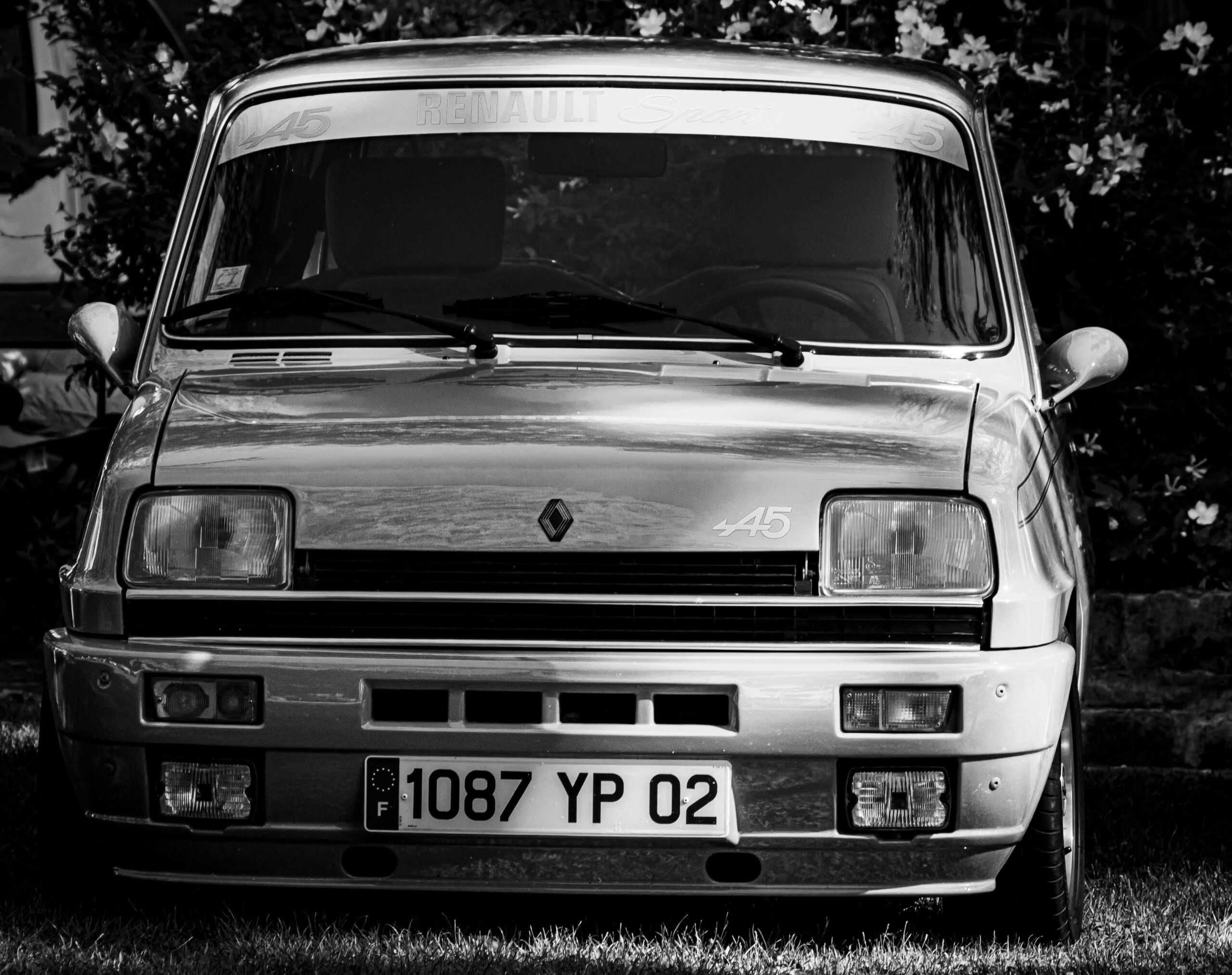pexels-jean-marc-bonnel-387362531-17875033